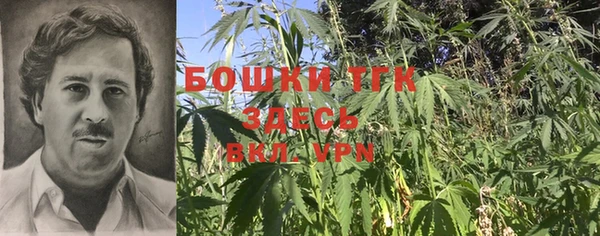 герыч Гусь-Хрустальный