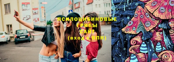 герыч Гусь-Хрустальный