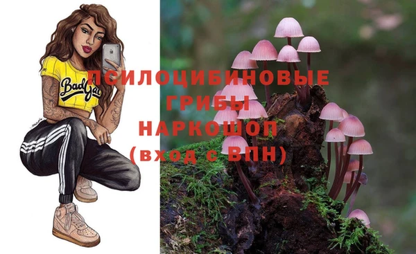 твердый Гусиноозёрск
