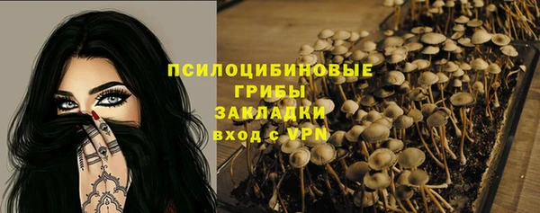 герыч Гусь-Хрустальный