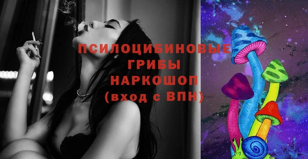 твердый Гусиноозёрск